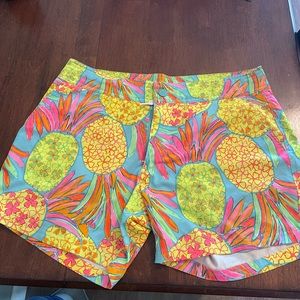 Chubbies Bathing Suit Trunks Large